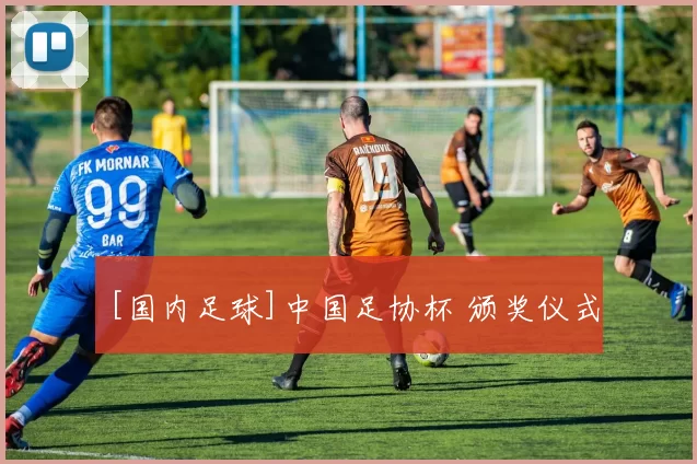 [国内足球]中国足协杯 颁奖仪式