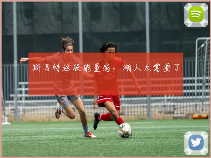 斯马特这股能量感，湖人太需要了